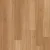 Silky Blackbutt